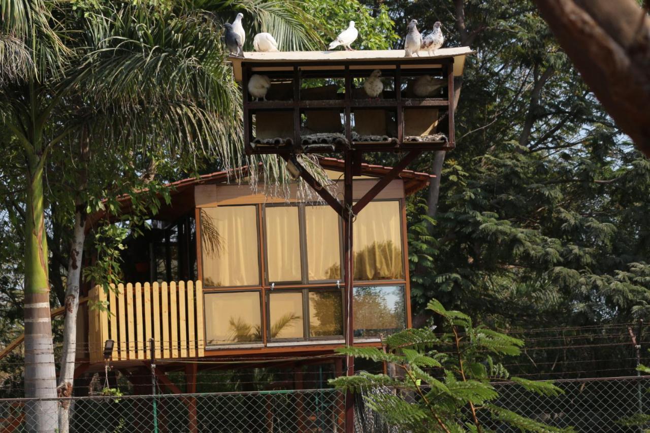 Visamo Farmstay Nānodra 外观 照片