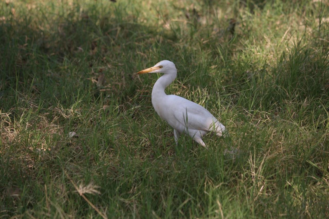 Visamo Farmstay Nānodra 外观 照片