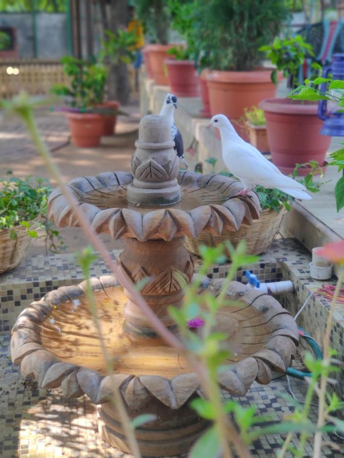 Visamo Farmstay Nānodra 外观 照片